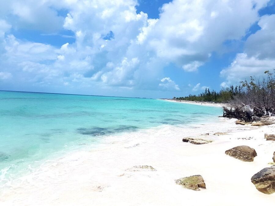 White sand beach of the Playa Paraíso, Cuba