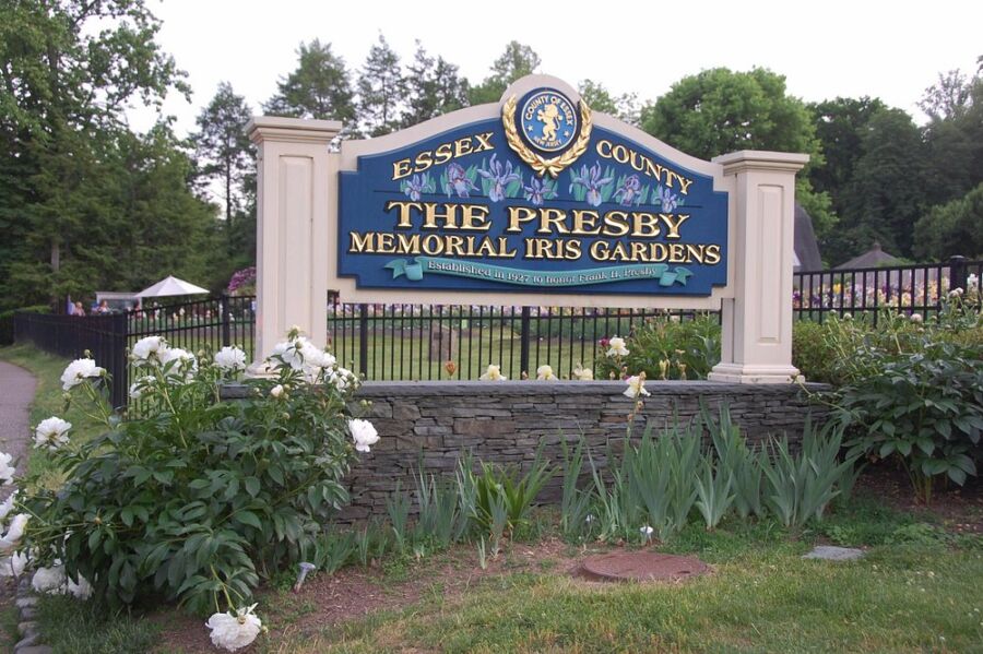 Presby Iris Gardens