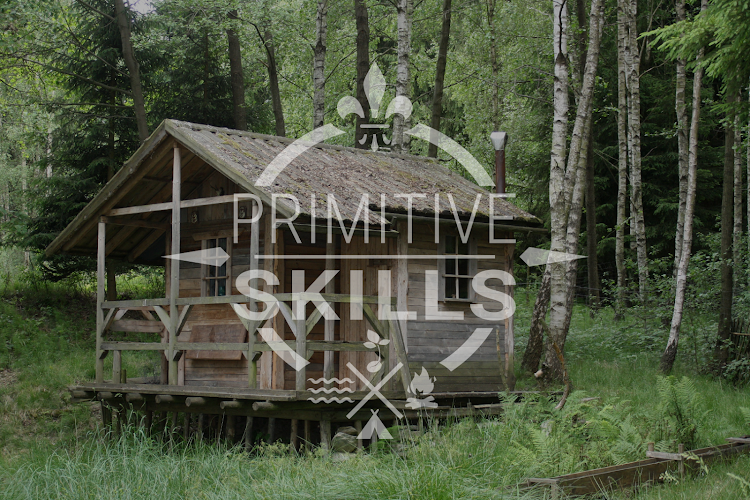 Primitive skills