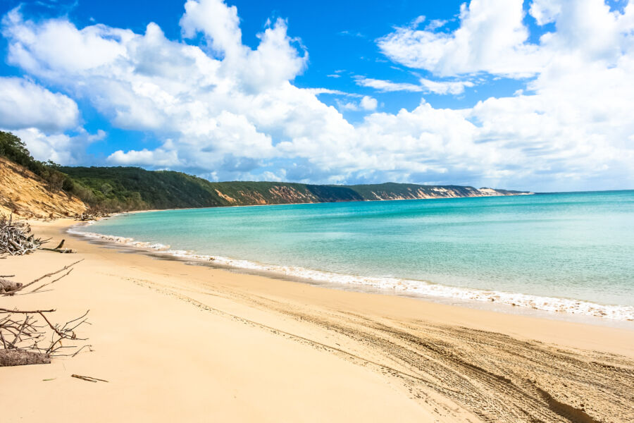 Vibrant sand cliffs overlook a pristine white beach with four-wheel drive tracks at Rainbow Beach in Queensland, Australia