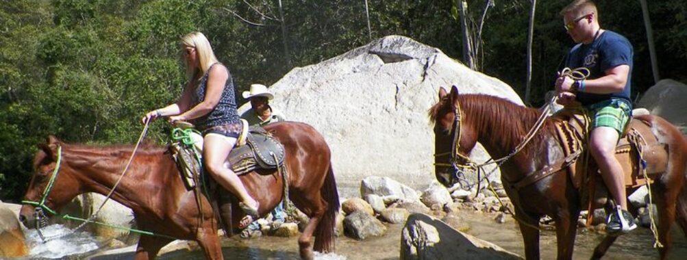 Rancho Manolo Horseback Tours