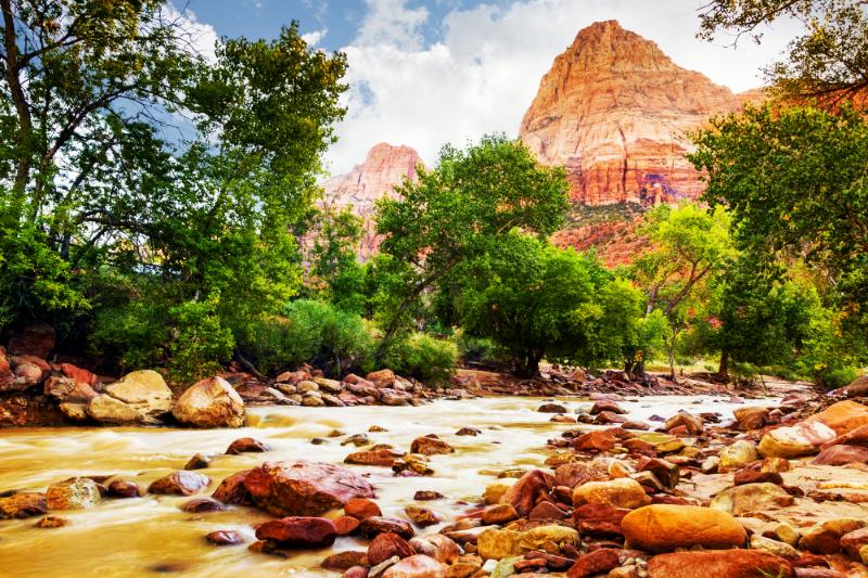 Serene river at zion national park