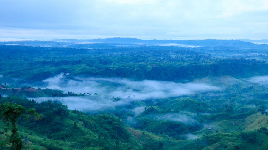 Lush Sajek Valley in Rangamati, Bangladesh, adorned with fluffy clouds drifting across a serene blue sky