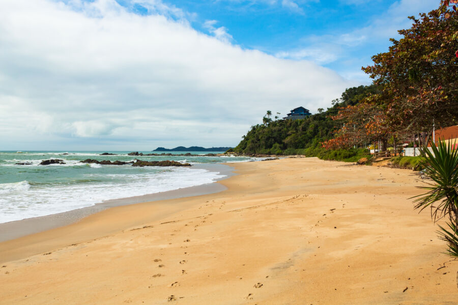 Tranquil Saudade Beach in Penha, Santa Catarina, Brazil, adorned with palm trees and inviting ocean waves under a clear sky