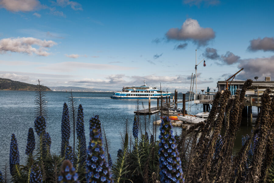 Sausalito California town with water and park views