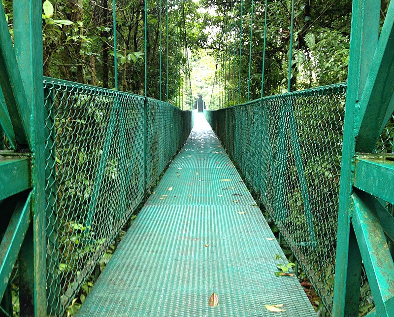 Selvatura Park Suspension Bridge