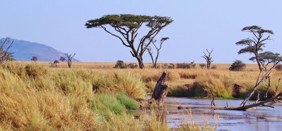 Serengeti National Park