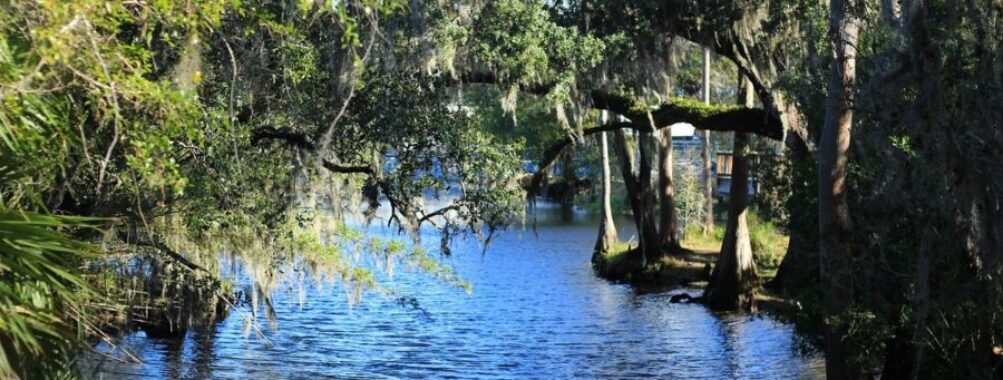 Shingle Creek Regional Park Florida