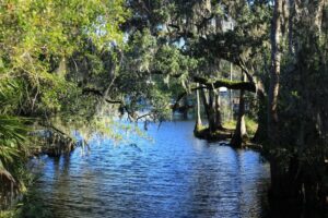 Shingle Creek Regional Park