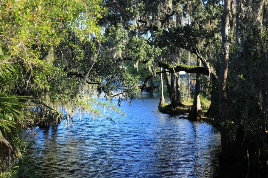 Shingle Creek Regional Park Florida