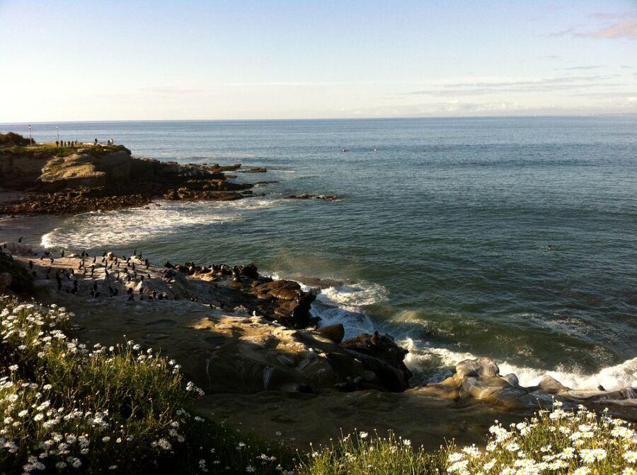 Sunny Jim’s Sea Cave