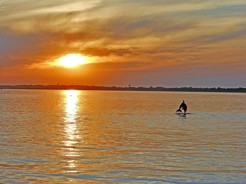 Dolphin leaps at sunset at Assateague Island, Maryland