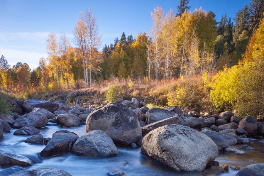 Tahoe National Forest in the Fall