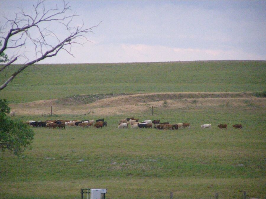 Tallgrass Prairie Preserve