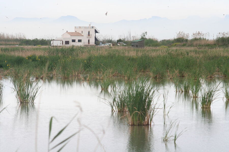 View of Tancat de la Pipa