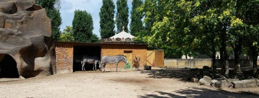 Touroparc Zoo