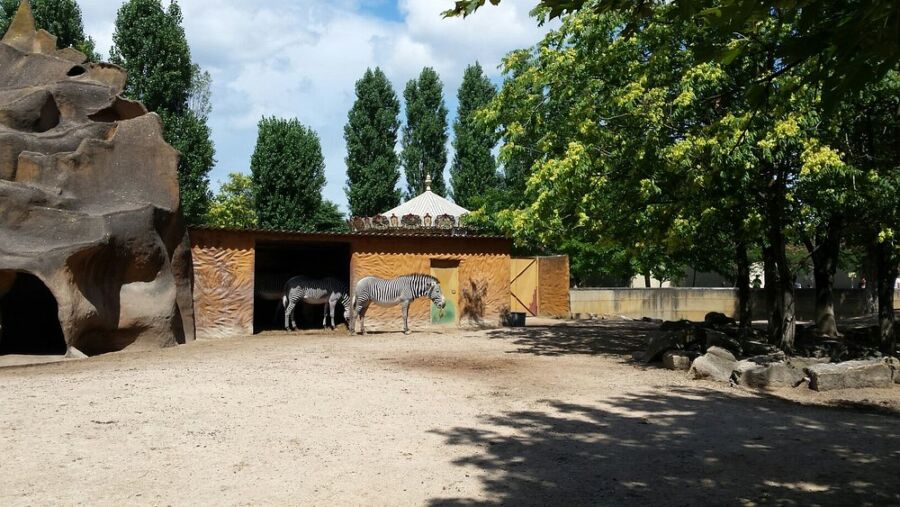 Touroparc Zoo