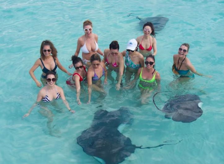 Tourists swimming with stingray