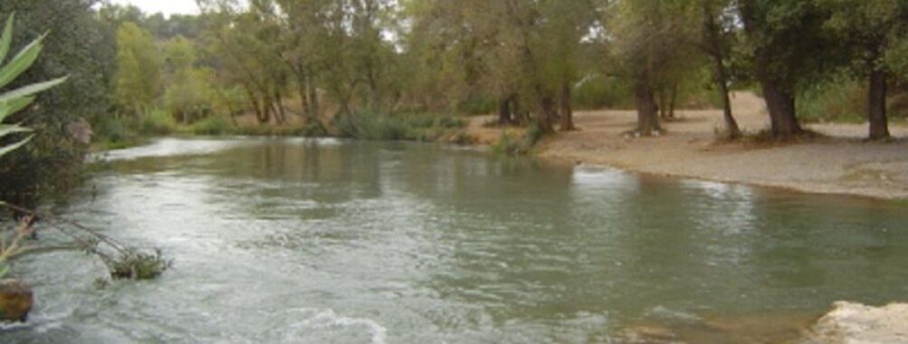 Antic Tram Fluvial del Riu Túria