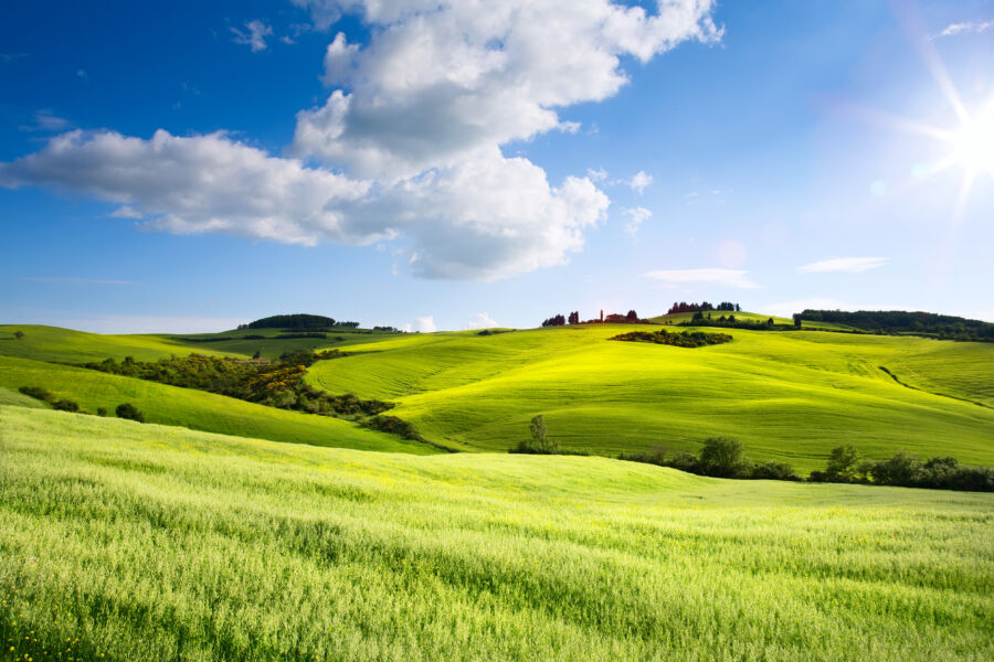 Italy countryside landscape with Tuscany rolling hills ; sunset over the farm land