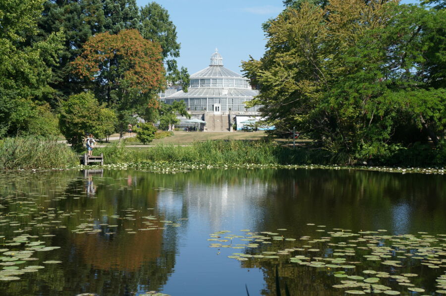 Panoramic view of the University of Copenhagen Botanical Garden