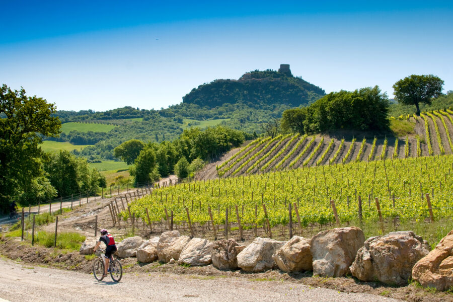 Mountain biker navigating a scenic trail through the picturesque landscapes of Val d'Orcia, Siena, Tuscany, Italy