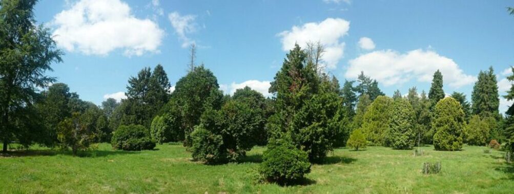 Versailles-Chèvreloup Arboretum