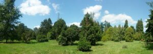 Versailles-Chèvreloup Arboretum