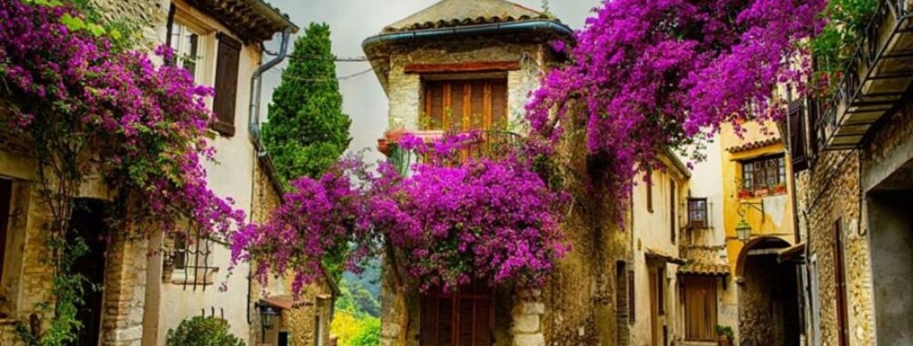 Charming village street with stone buildings, vibrant bougainvillea, cobblestones, and a wandering dog.