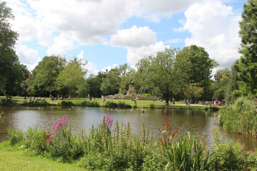 Panoramic view of Vondelpark in Amsterdam, showcasing lush greenery and serene pathways under a clear blue sky